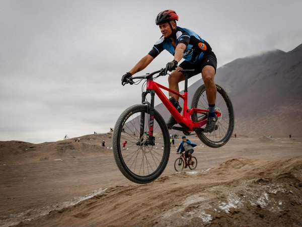 Les meilleures balades à vélo en Hollande